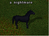 Mount Screenshot
