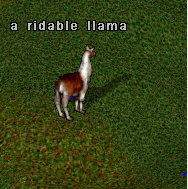 Mount Screenshot