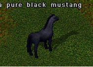 Mount Screenshot