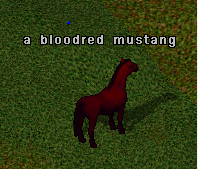Mount Screenshot